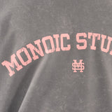 Camiseta Monoic Studios Gris | Camisetas Monoic Airways | Monoic Studios