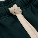 Jogger Básico V4 - Forest Green